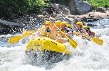 Ubud Rafting And Bamboo Forest