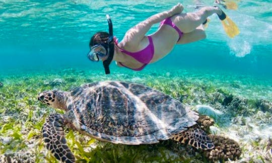 Snorkeling Trips  in Puerto Princesa