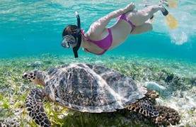 Snorkeling Trips  in Puerto Princesa