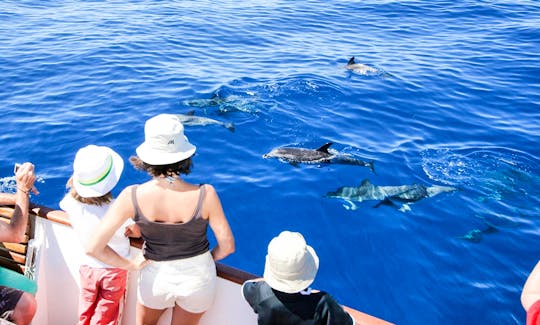 Whale watching Tour in Valle Gran Rey, La Gomera