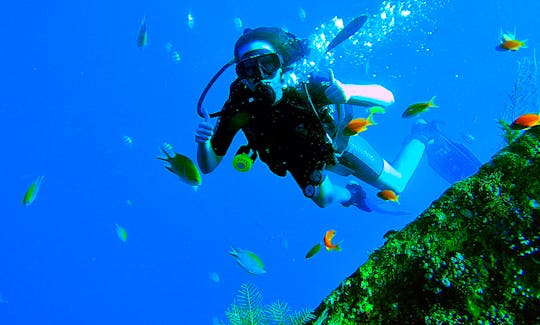 Diving in Lembongan - Indonesia