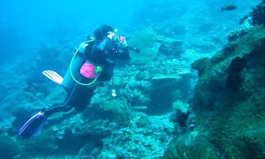 Diving in Lembongan - Indonesia