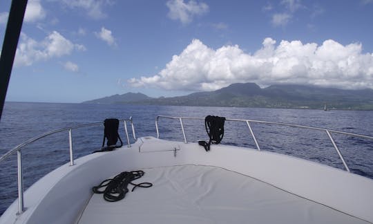 Rent the White Shark 226 Open Center Console In Basse-Terre, Guadeloupe