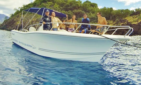 Rent the White Shark 226 Open Center Console In Basse-Terre, Guadeloupe