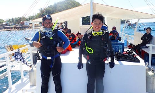 Diving Trips in Apo Island, Philippines