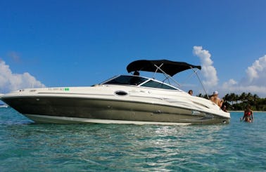 Chaparral Suncoast Boat Charter In West Palm Beach, Florida