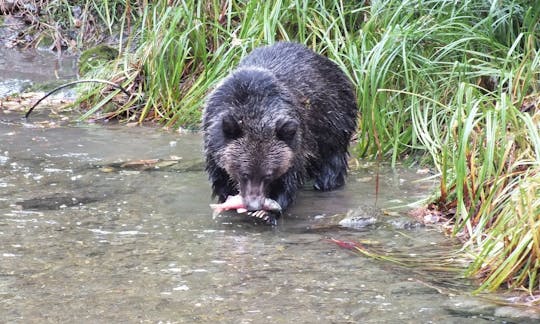 Raft with Grizzly Bears -