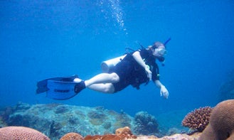 Diving Trips in Mersing
