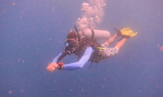 Diving Trips in Mersing