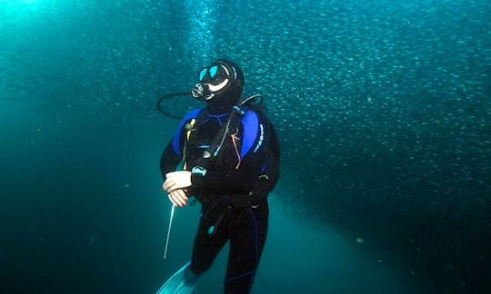 Diving Trips and Courses in Olsztyn