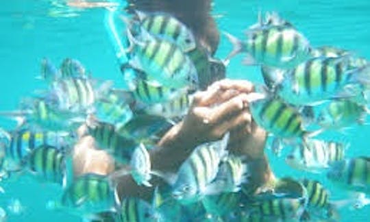 Snorkeling in Tambon Koh Lanta Yai