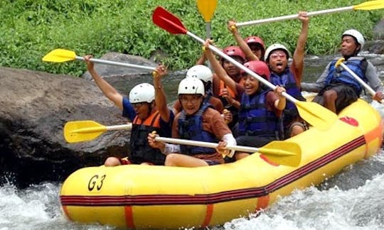 Rafting privado em águas brancas em Ubud