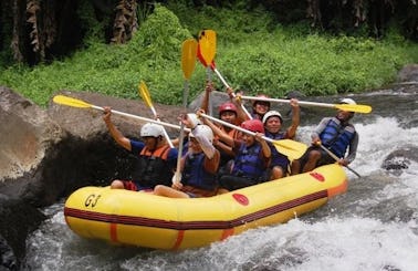 Private White water Rafting in Ubud