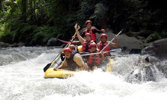 Rafting privado em águas brancas em Ubud