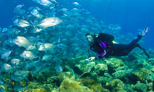 Discover the colorful coral and fishes in Kuta, Indonesia