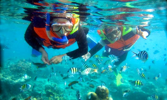 1 hour of Snorkeling Adventure in Kuta, Indonesia