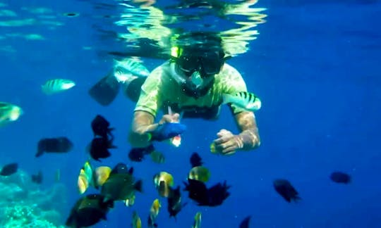1 hour of Snorkeling Adventure in Kuta, Indonesia