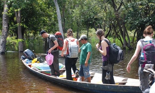 Tour ecológico perfeito em Manaus, Brasil