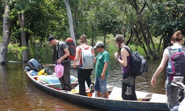 Perfect Eco Tour in Manaus, Brazil