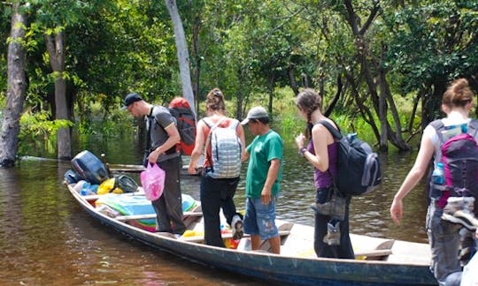 Perfect Eco Tour in Manaus, Brazil