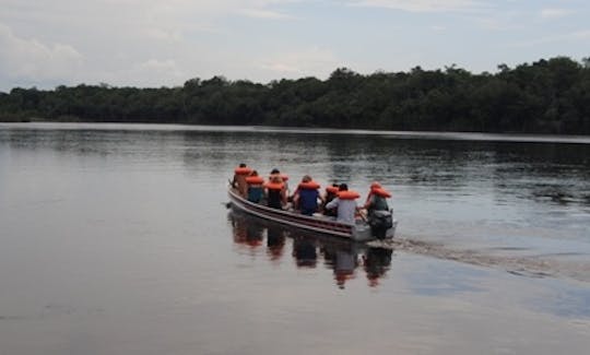 Tour ecológico perfeito em Manaus, Brasil