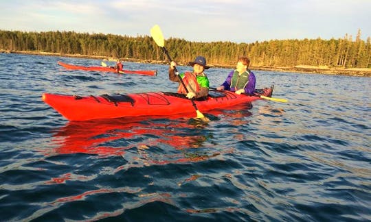 Reserve a Necky Looksha Kayak in Saint George, Maine