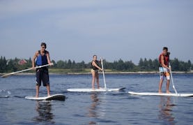 Stand Up Paddle Rental in Saint George