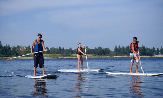 Stand Up Paddle Rental in Saint George