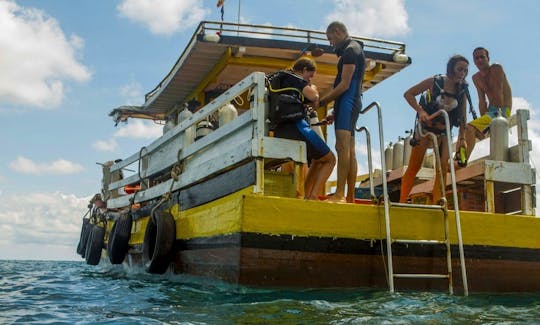 Explore the beautiful corals of Sihanouk, Cambodia