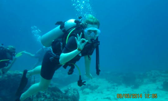 Start your diving adventure here!