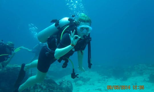 Start your diving adventure here!