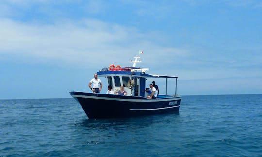 Dolphin Tour in Vibo Valentia