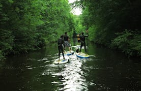 Guided Stand Up Paddleboarding Safari In Leitrim