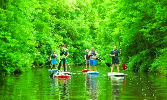 Guided Stand Up Paddleboarding Safari In Leitrim