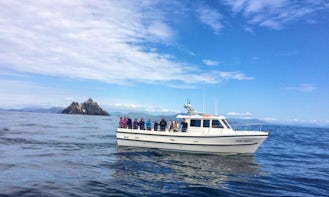 Boat Cruise On Skellig Islands