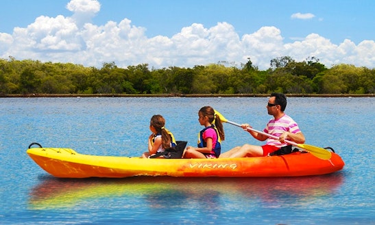 Viking Tandem Sit-on-top Kayak For Hire In Noosaville, Queensland - Australia