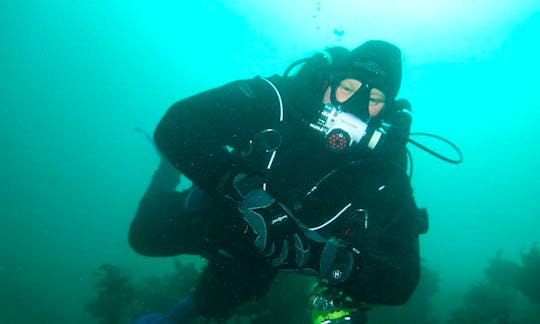 Diving Trips and Courses in Christchurch