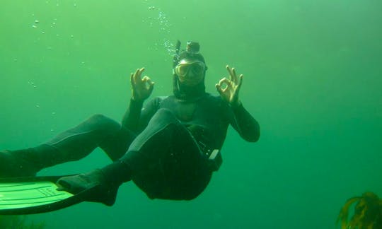 PADI Open Water Courses with Certified Instructor in Manta, Ecuador