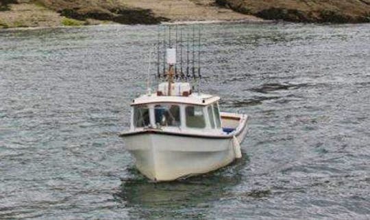 Fishing Trips in Saint Mawes