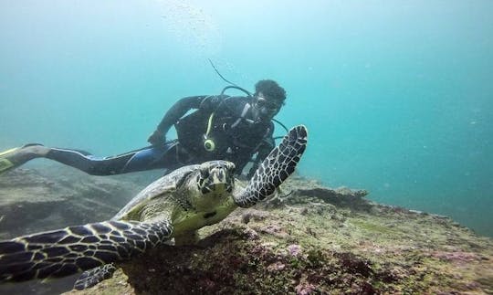 Únete a la aventura del buceo y sigue aprendiendo en Unawatuna, Sri Lanka