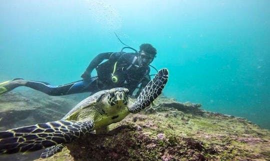 Join the Diving Adventure and Keep Learning in Unawatuna, Sri Lanka