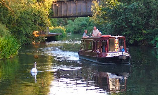 Canal Boat Trips in Kintbury