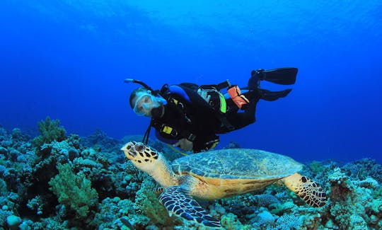 Discover the underwater scenery in Unawatuna, Sri Lanka