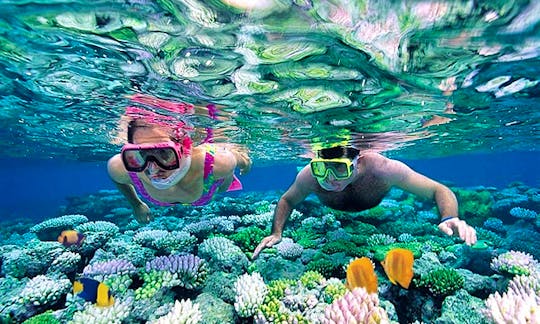 Affordable and Exciting Snorkeling Tour in Sri Lanka with Jishan