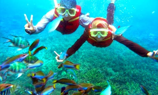 Affordable and Exciting Snorkeling Tour in Sri Lanka with Jishan