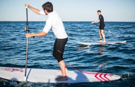 Stand-Up Paddle Board Rental