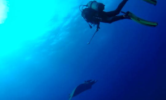 Diving, open water, emergency, recue, you name it, in Lajes Do Pico