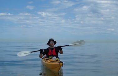 Kayak Tour And Lessons in Hythe