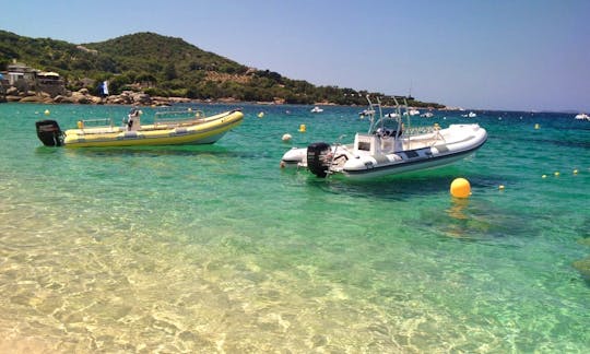 Go for Exciting Dive Trips in the Gulf of Ajaccio in Corsica, France