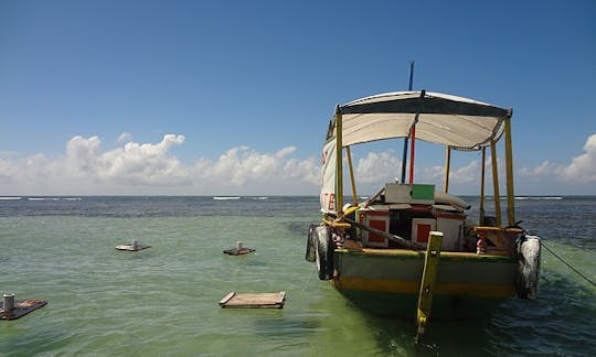 Eco Tour Package in Morro de São Paulo, BA